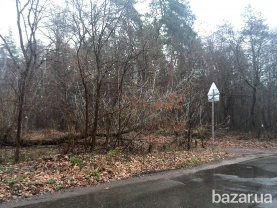 БАЗА ОТДЫХА КИЕВ!!! Київ - зображення 2