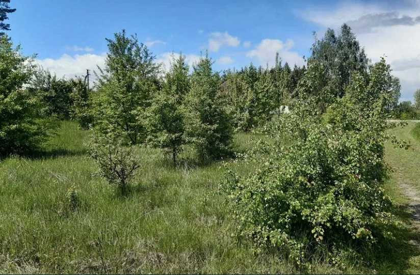 продажа участок под жилую застройку Киево-Святошинский, Вита-Почтовая, 80000 $  - зображення 2