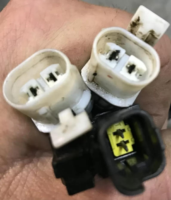 Бу проводка Renault Laguna 2, 15213580012, 55RDVA125, подсветки заднего номерного знака . Кропивницкий - изображение 1