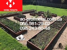 Готові грядки для полуниці. Київ - зображення 1