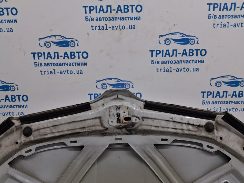 Капот Skoda Octavia 2013-2020 5E0823031 (Арт. 80531) Киев - изображение 10
