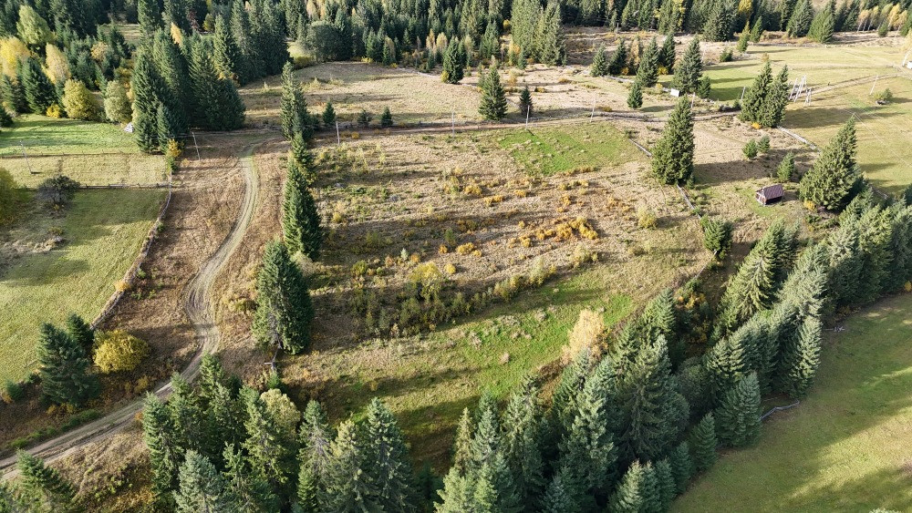 Земельна ділянка в Яблуниці 0.25 га Яремче - зображення 6