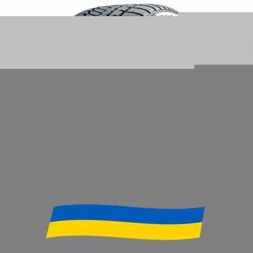 215/55 R18 Continental WinterContact TS 850P 99V Легкова шина Київ