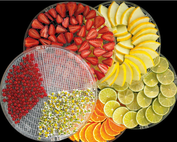 Сушилка для овощей и фруктов Gorenje FDK-20-MG 240 Вт Киев - изображение 3