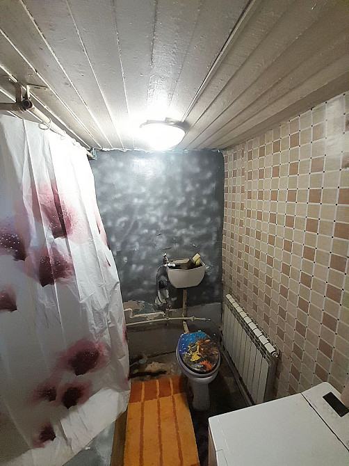 Продам дом в с. Новоселовка, пгт. Соленое Дніпро - зображення 12