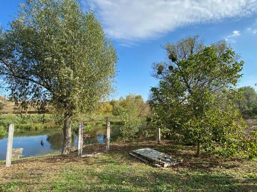 Продаж будинку с. Мала Сквирка, на березі річки Рось! Белая Церковь - изображение 9