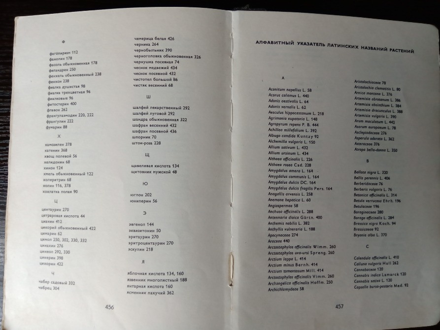 Книга: Лекарственные растения. Львов - изображение 7