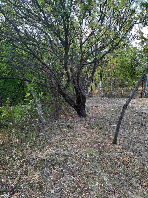 продажа участок под жилую застройку Ужгород, 13500 $ Ужгород - зображення 11