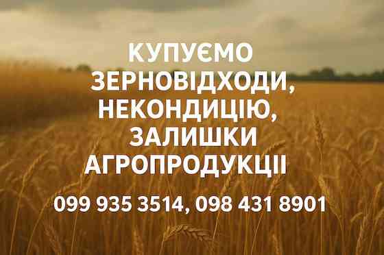 Купуємо некондиційне зерно та побічні продукти Київ