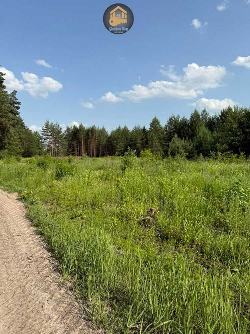 продажа земля сельскохозяйственного назначения Бориспольский, Гнедин, 90000 $  - зображення 7