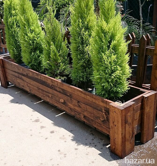 Кашпо из дерева для цветов, овощей и фруктов. Кашпо з дерева. Киев - изображение 12