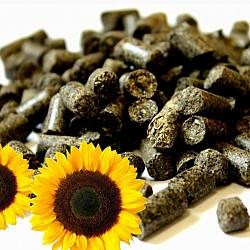 Реалізуємо оптом пеллети, брикети Житомир - зображення 1