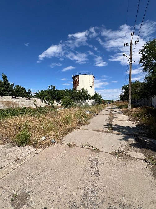 Готовий тепличний бізнес Київський район Одеса! Інвестиційний обєкт в Україні Одесса - изображение 4