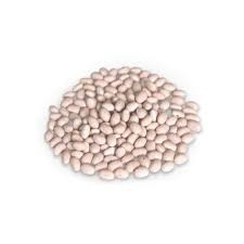 Купуємо квасолю (на консервування) Житомир - изображение 1