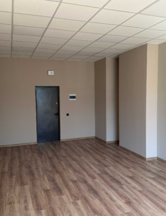 Чорних Запорожців вул 26А, офіс 19м Киев