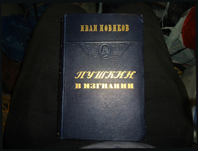 Пушкин время в изгнании. Новиков 1949 г. Чешуя Ивана Алупкина сандалий Донецк - изображение 4