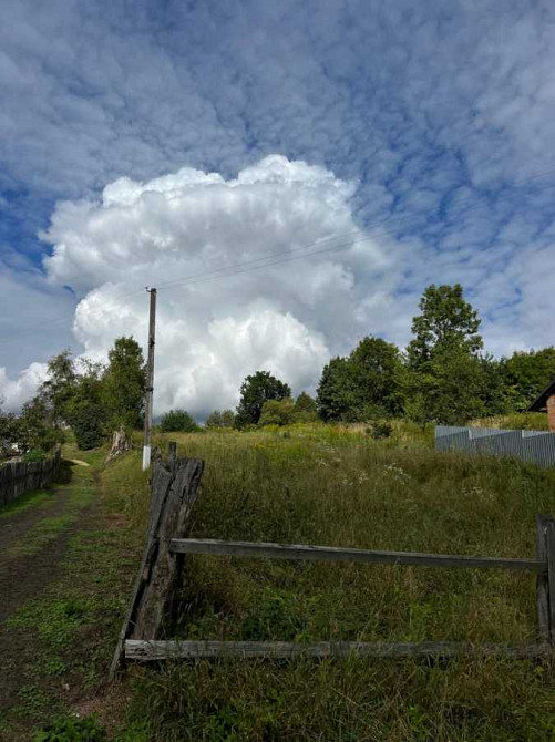 продажа земля сельскохозяйственного назначения Яворовский, Яворов, 13500 $ Яворів - зображення 4