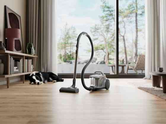 Пылесос для сухой уборки без мешка Electrolux EL51A2UG 850 Вт серый Київ