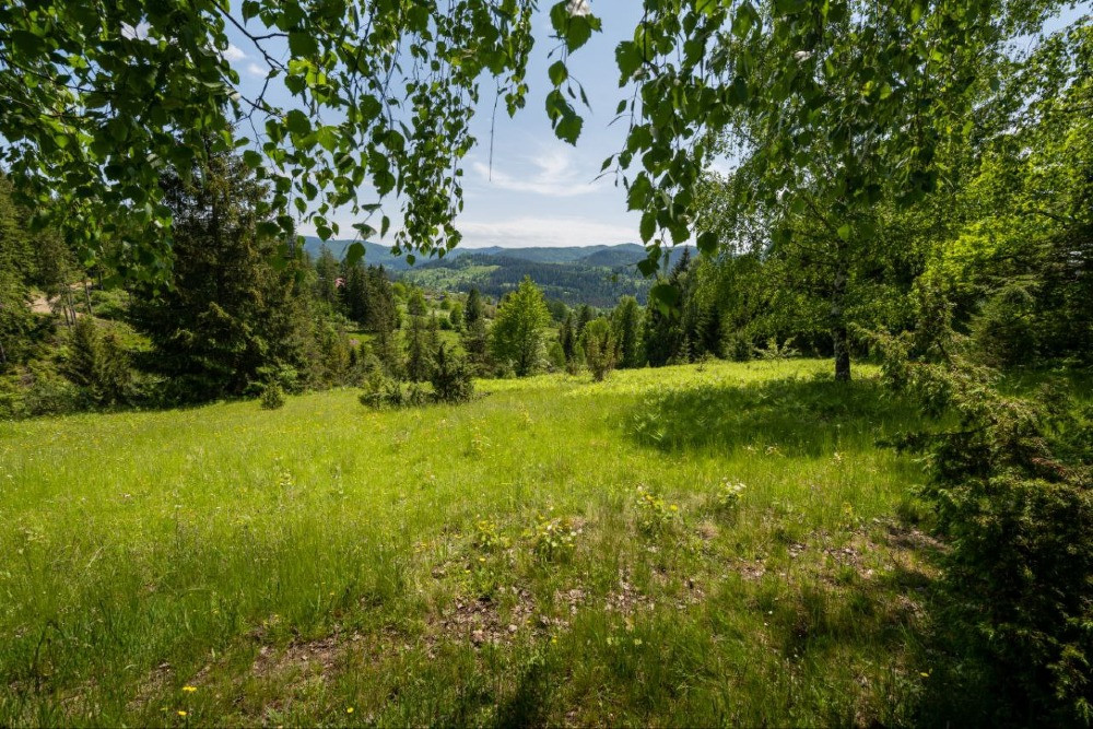 Земельна ділянка в Микуличині 1.29 га Яремче - зображення 8