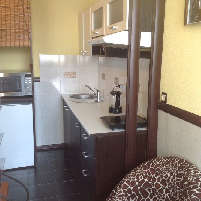 Прекрасная квартира в центре возле Ботанического сада. м. Дружбы народов. Киев - изображение 10