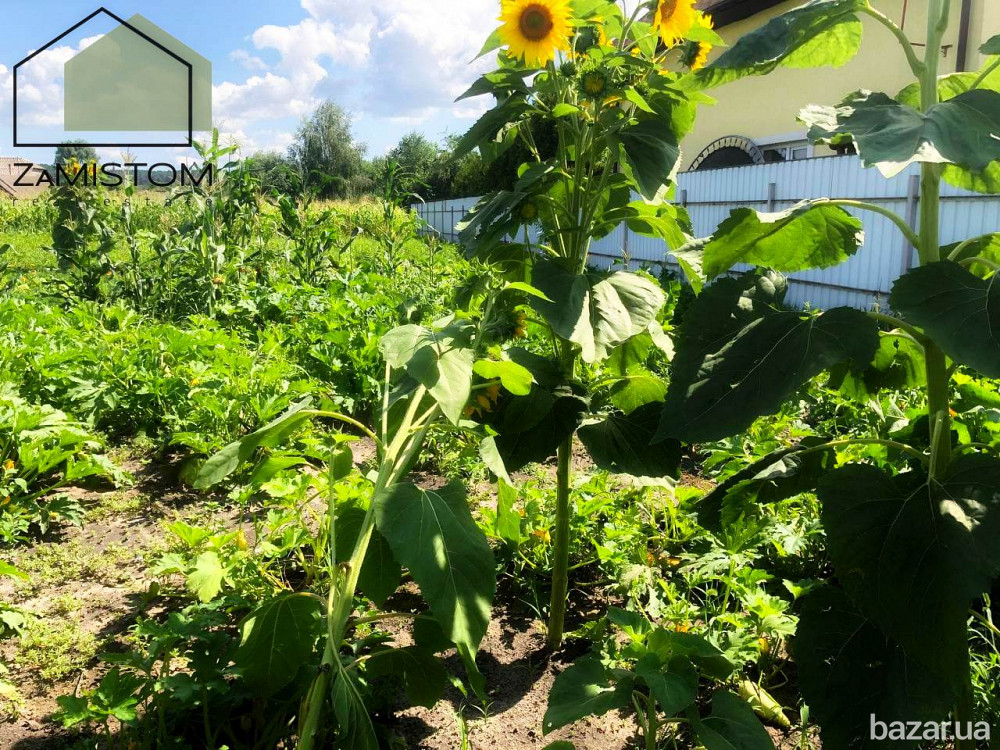 Продам ділянку 14 соток в селі Гнідин. Фасад 36 метрів. Газ і електрика по вулиці. Асфальтований пі Бориспіль - зображення 4