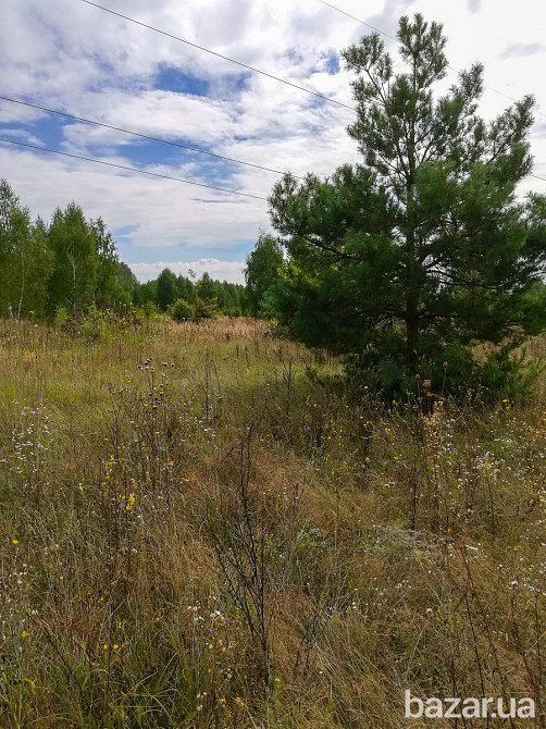 Продам ділянку 3,7 га ОСГ в смт.Макарів Макарів - зображення 9