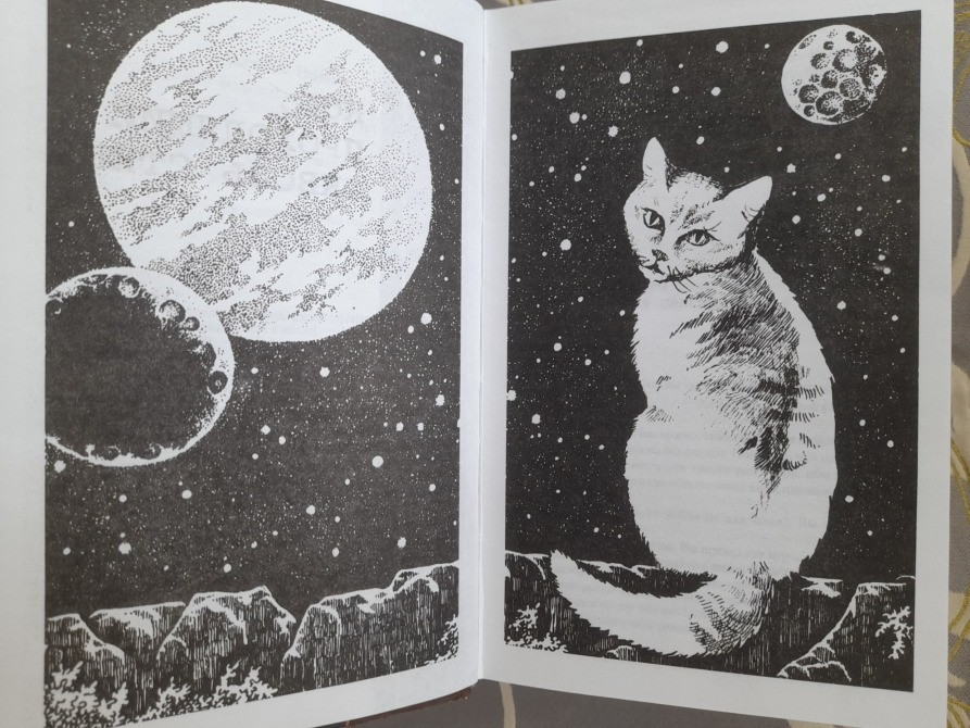 Роберт Хайнлайн Кот, проходящий сквозь стены отцы основатели фантастика Запоріжжя - зображення 4