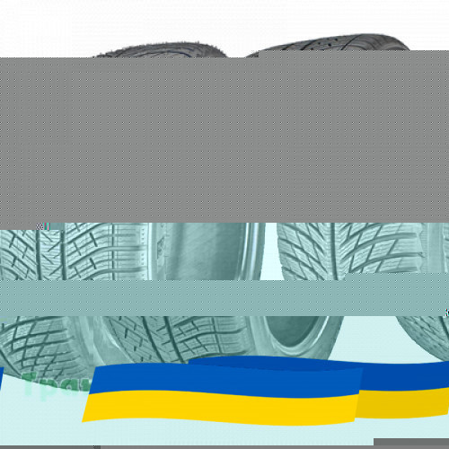 315/40 R21 Michelin Pilot Alpin 5 SUV 115V Позашляхова шина Київ - зображення 1