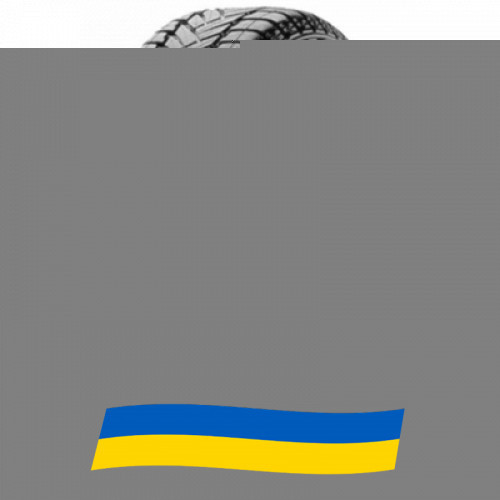 225/50 R17 Dunlop SP Winter Sport M3 94H Легкова шина Київ - зображення 1