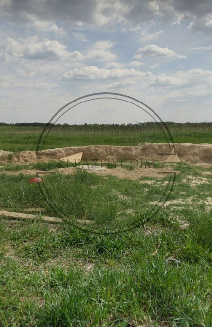 Срочная продажа участка в с. Соболевка между Летками и Леточками на реке любичь-десна Киев - изображение 3