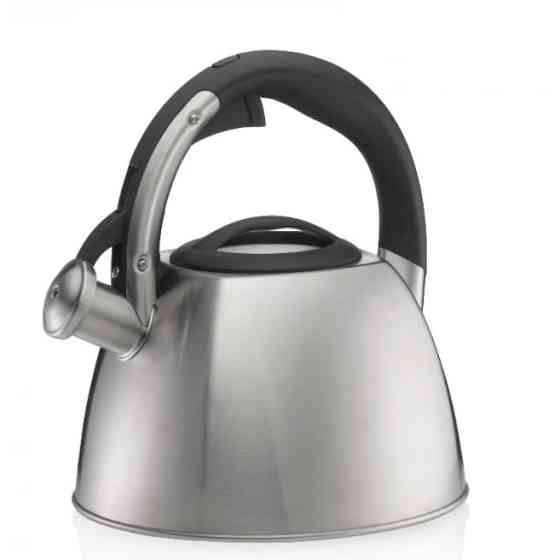 Чайник зі свистком Kela Vitus 12078 2.4 см сріблястий Киев