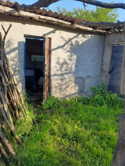 Дача/Дом/ Земля 10 соток з будинком й 2 дод. діл. горіховою, і звичайною Хмельницький - зображення 6