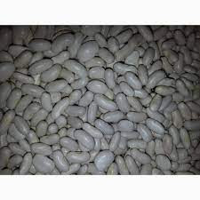 Закуповуємо квасолю білу (мін.партія 10 тонн). Дніпро - зображення 1