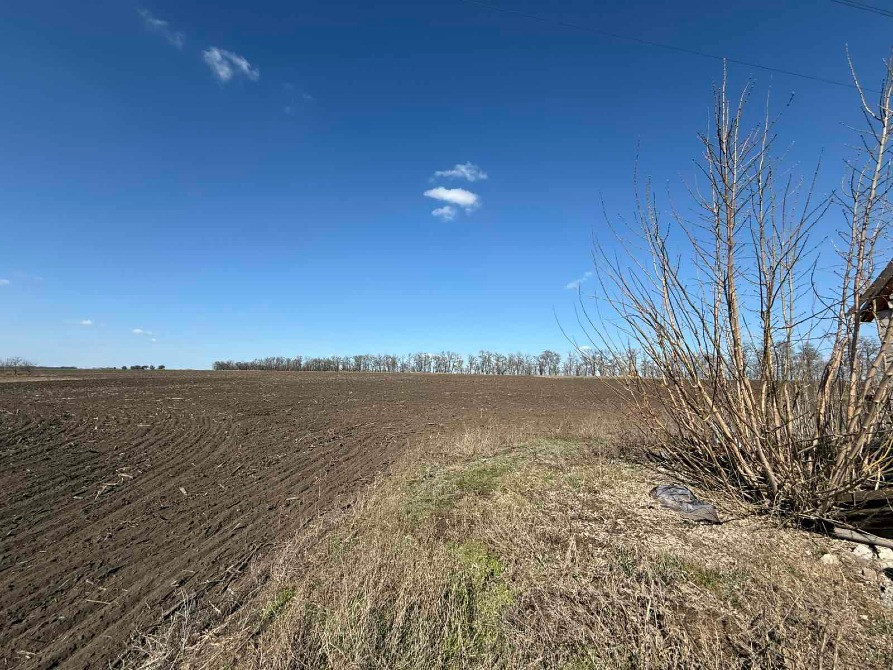 Здам в оренду будинок в селі Одарівка, Криничанський р-н. Днепр - изображение 6