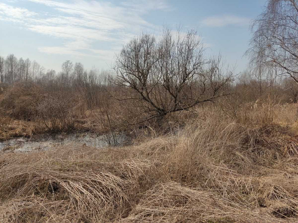 продажа земля сельскохозяйственного назначения Бориспольский, Старое, 262600 грн.  - зображення 4