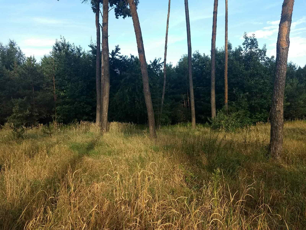 Земельна ділянка площею 0,5000 га в с. Дернівка Барышевка - изображение 4