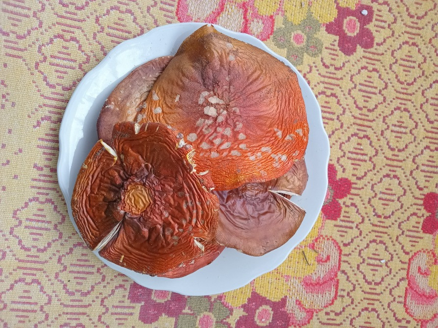 Червоний мухомор, сушений 2 сорт Овруч - изображение 1