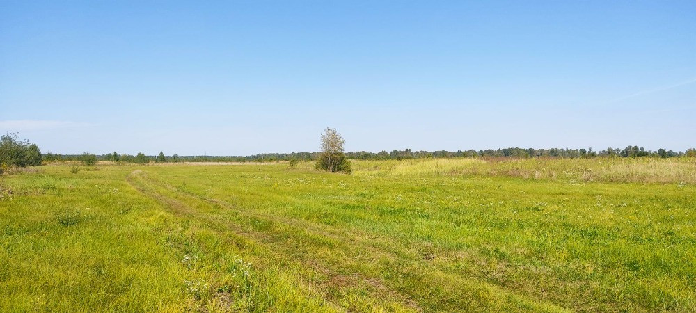 Терміновий продаж ділянки біля КМ “ Гавань”! Вишгород - зображення 3