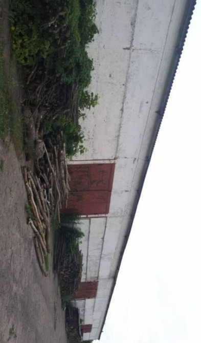 Продається овочева тваринницька садова ягідна равликова ферма Канів - зображення 13