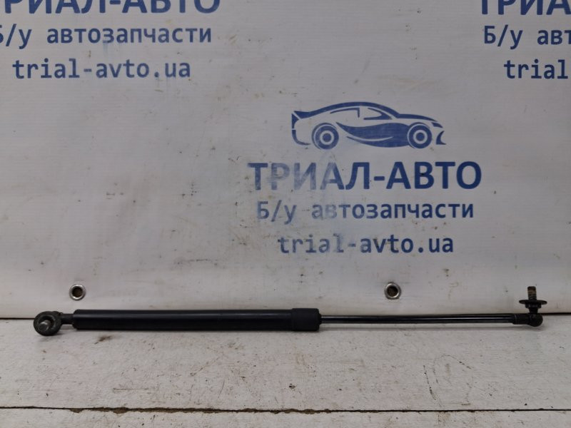 Амортизатор капота Toyota Prado 2002-2009 5344069055 (Арт. 64290) Київ - зображення 1