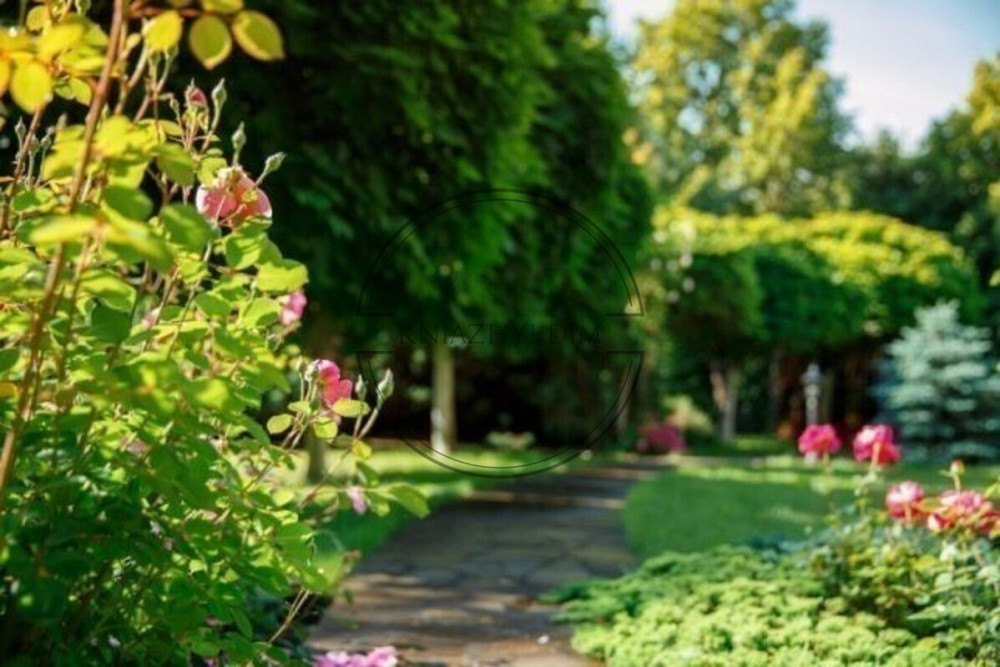 Шикарный дом в КГ Золотые Ворота .Конча-Заспа с выходом на Козинку .Код № 138051 Київ - зображення 8