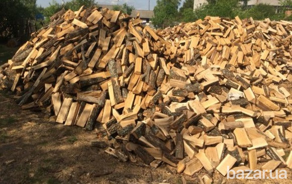 Дрова твердих порід ціна доставка Луцьк Волинська обл. Луцьк - зображення 1