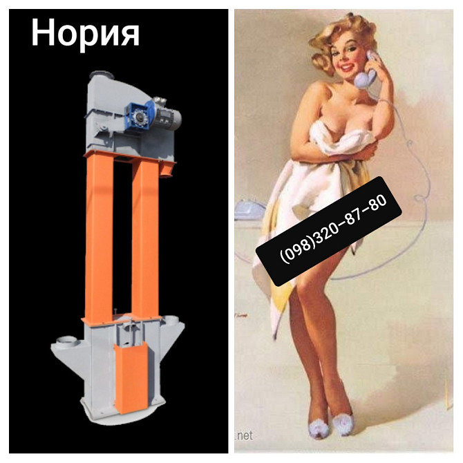 Норія стрічкова (НЦ-Н-НКЗ) 250 т/ч. Норія. Стрічкова норія. Зернова норія. Нория. Київ - зображення 3