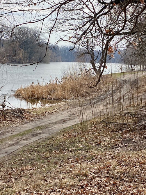 Продам земельну ділянку сел. Шаровка Богодухівський район Богодухов - изображение 12