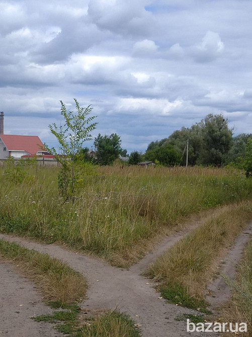 Бородянка Приватизированный фасадный участок 12соток п/ж.д. Бородянка - зображення 1