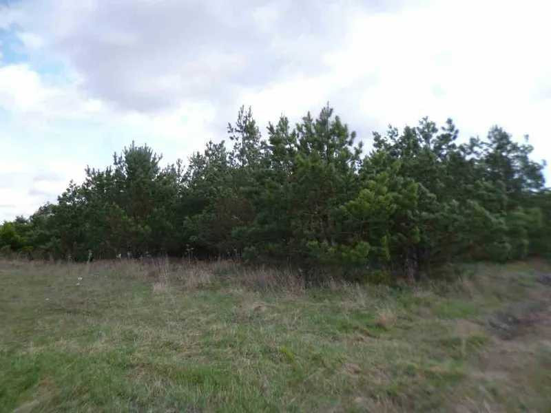 продажа земля сельскохозяйственного назначения Бориспольский, Вороньков, 304000 грн.  - изображение 4