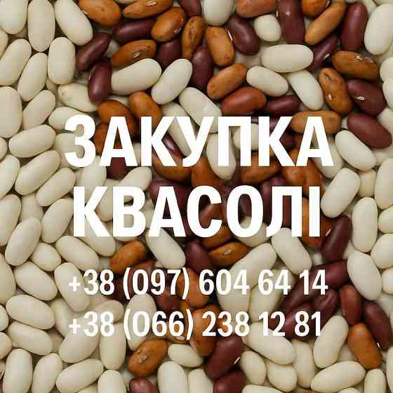 Купуємо квасолю різних сортів Ужгород