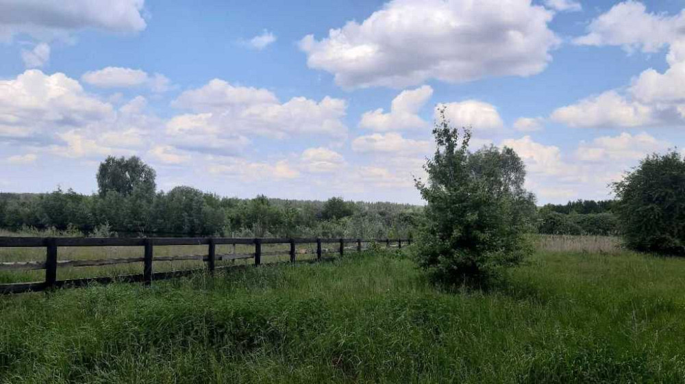 продажа земля сельскохозяйственного назначения Бориспольский, Головуров, 220362 грн.  - зображення 8