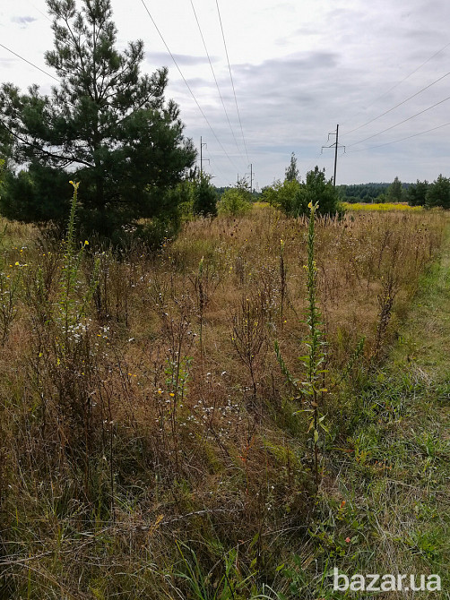 Продам ділянку 3,7 га ОСГ в смт.Макарів Макарів - зображення 11
