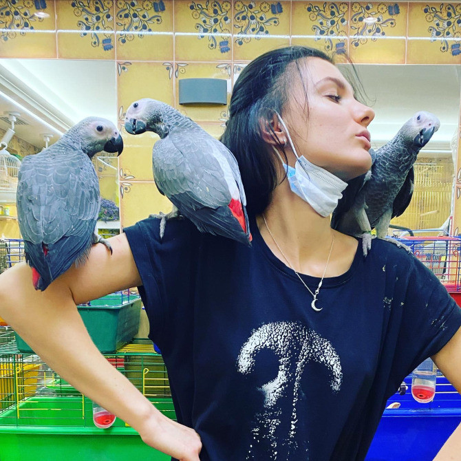 Ручной попугай Сёма - серый африканский жако, вольеры для попугаев Киев - изображение 4